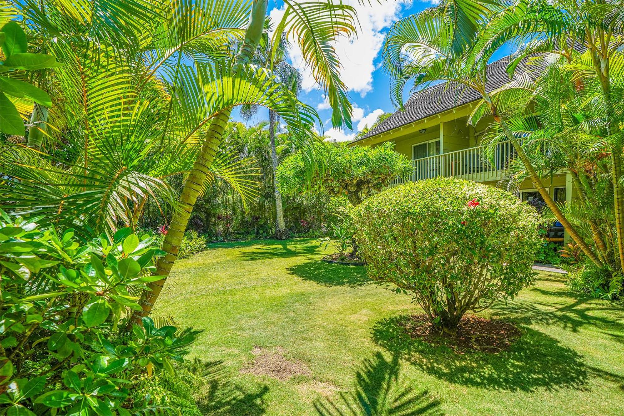Hale Kai At Kapaa Sands 15 카파 외부 사진